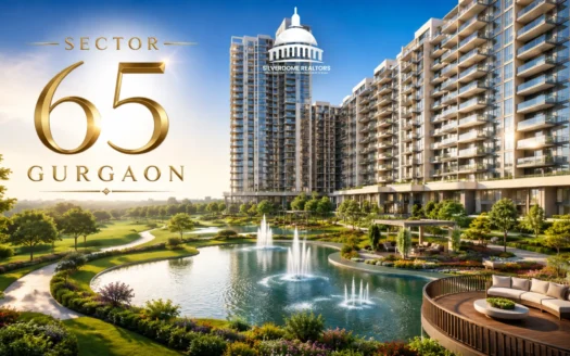 sector 65 gurgaon